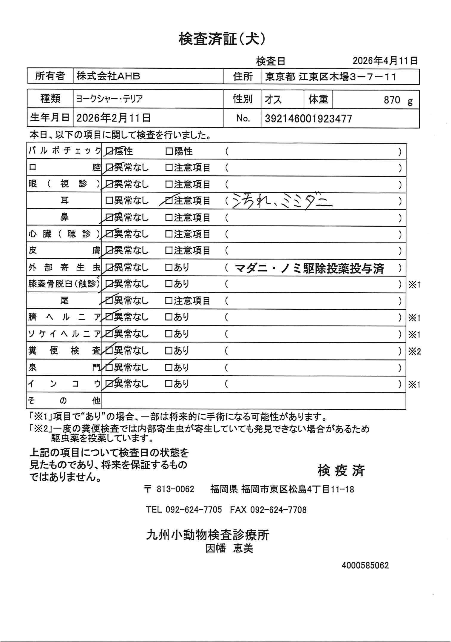 ヨークシャー・テリア