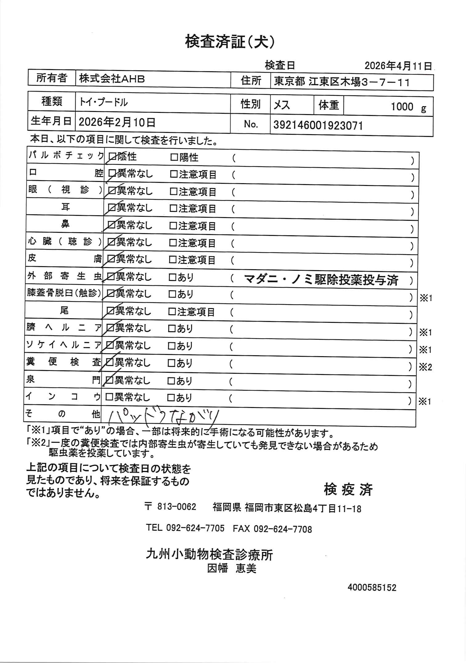 トイ・プードル