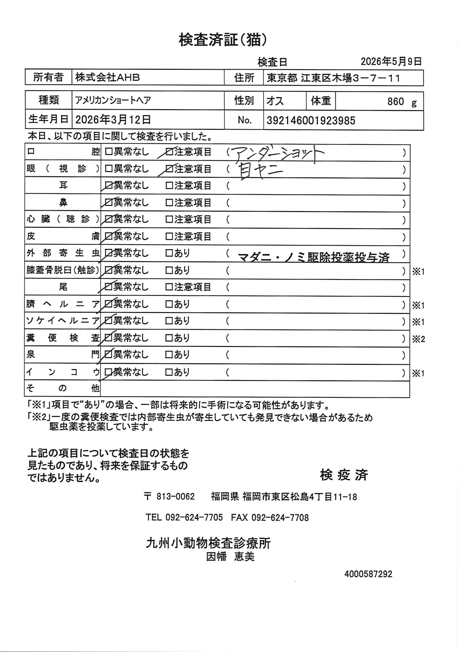 アメリカンショートヘア