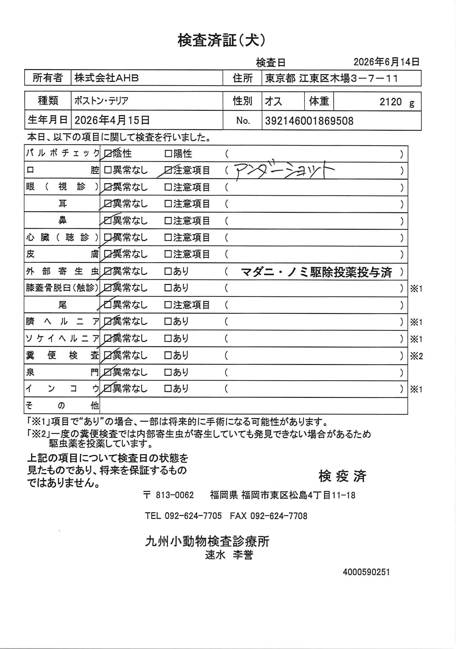 ボストン・テリア