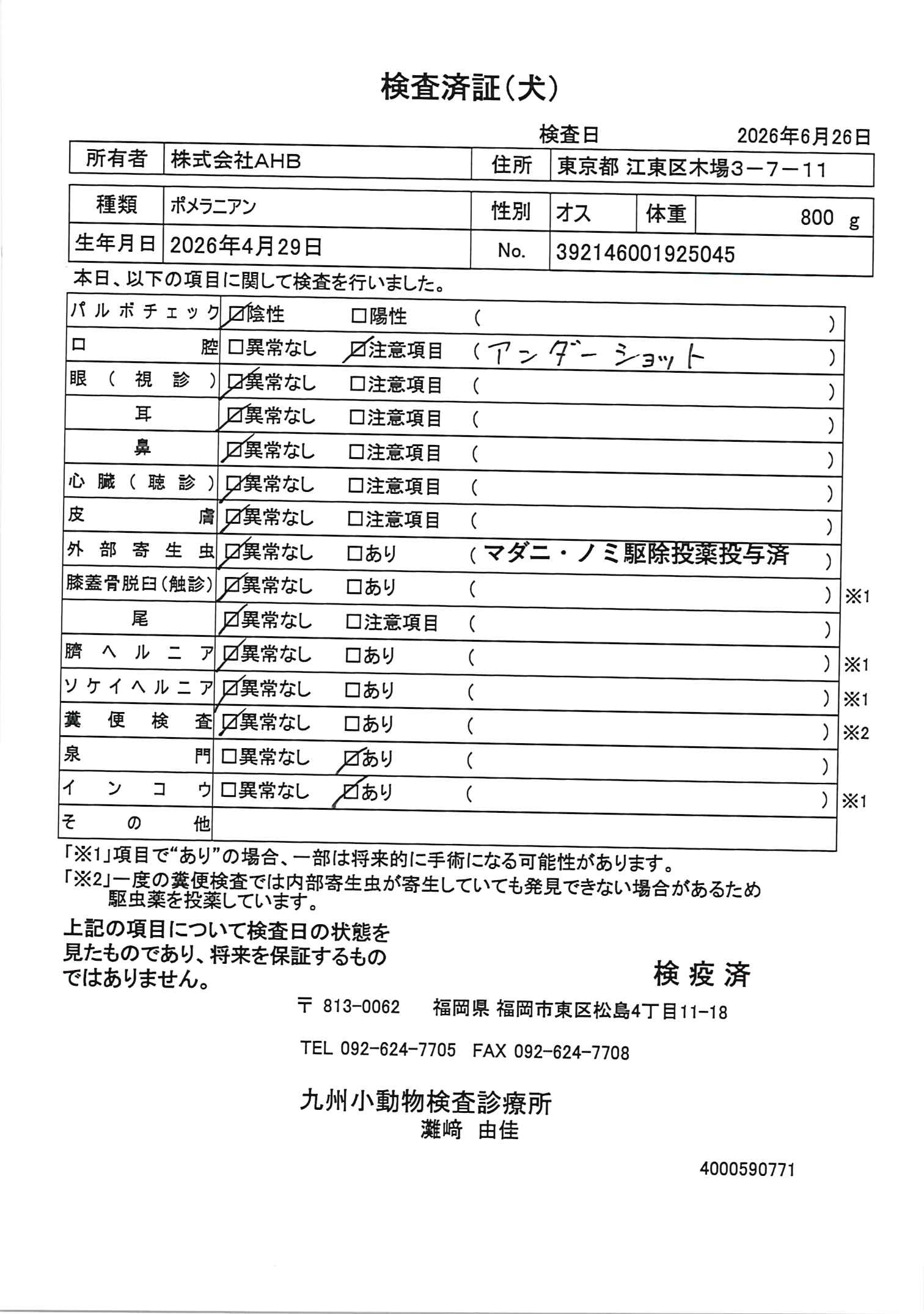 ポメラニアン