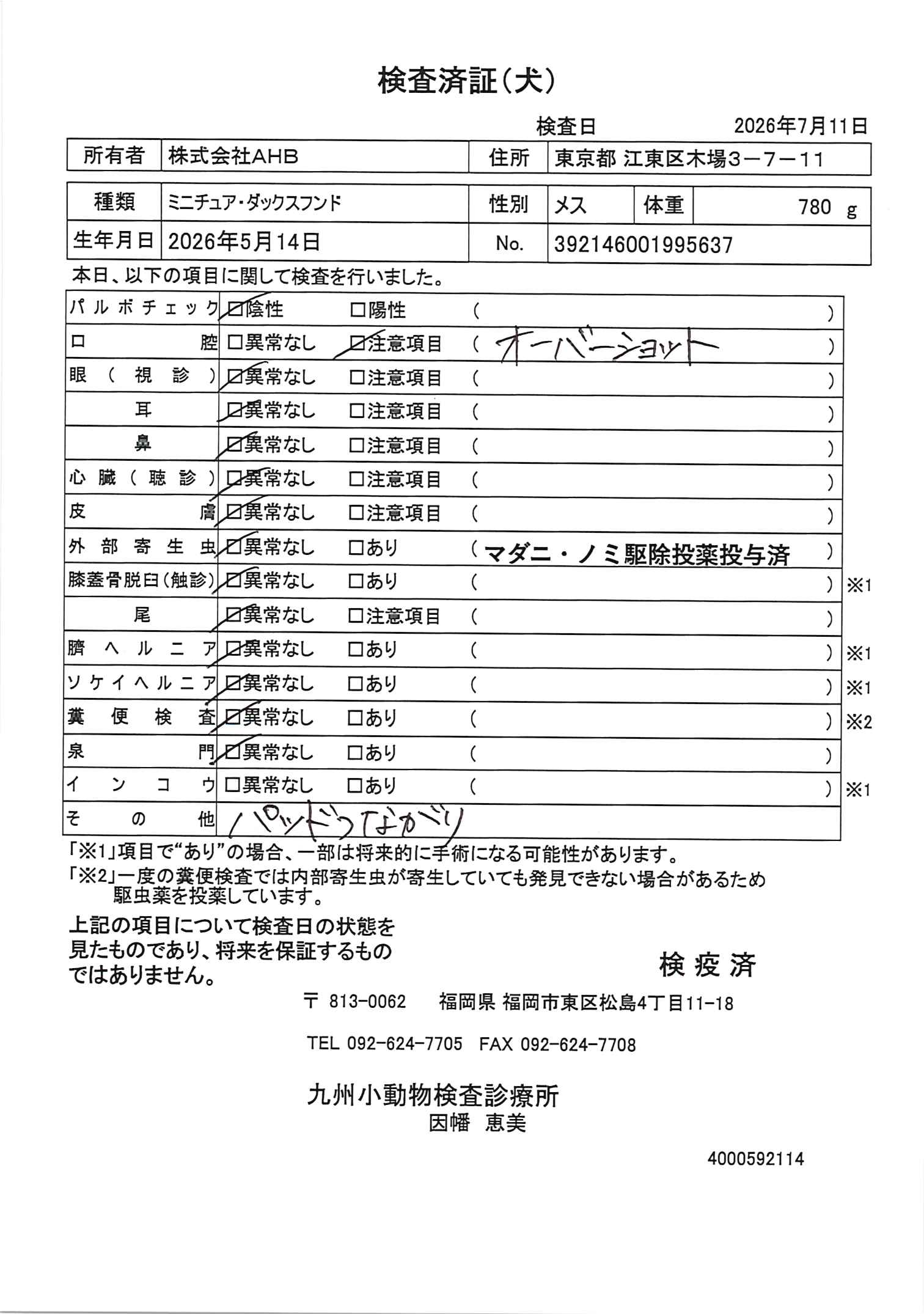 ミニチュア・ダックスフンド