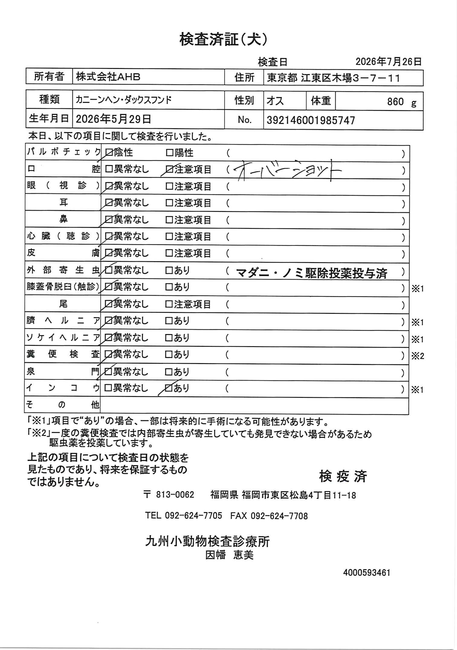 カニーンヘン・ダックスフンド