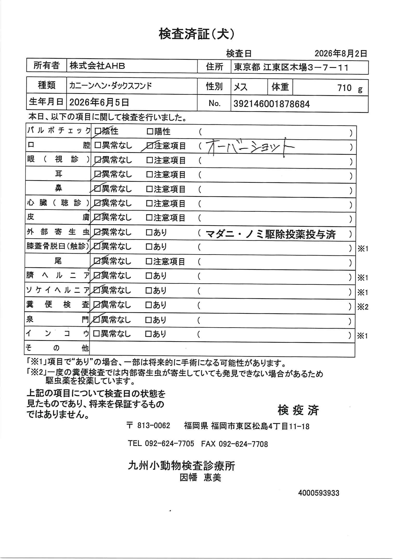 カニーンヘン・ダックスフンド