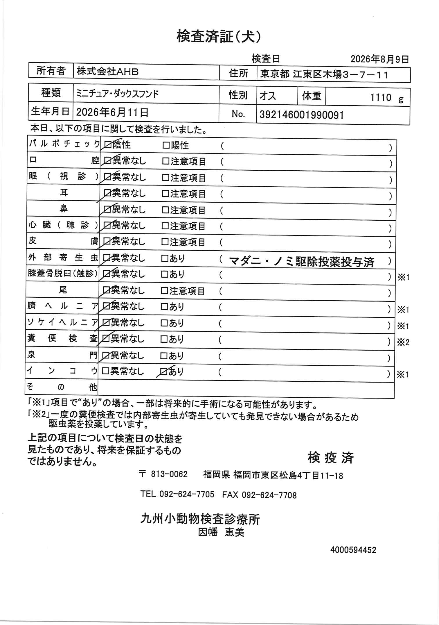 ミニチュア・ダックスフンド