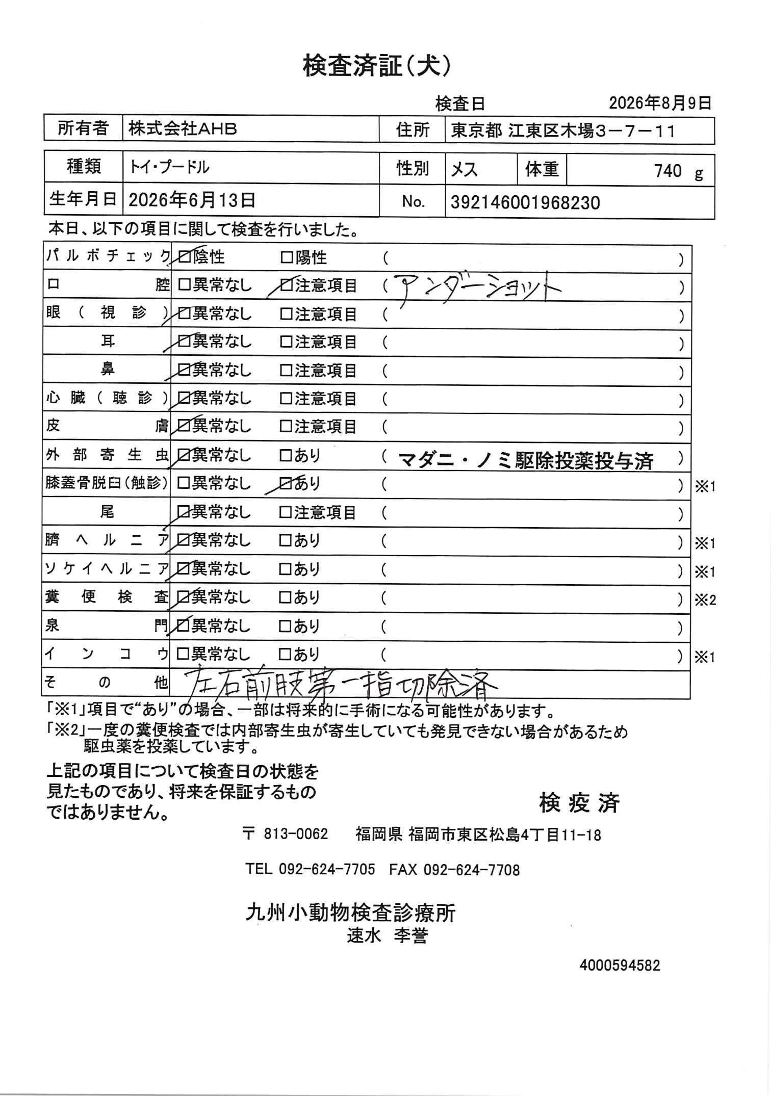トイ・プードル