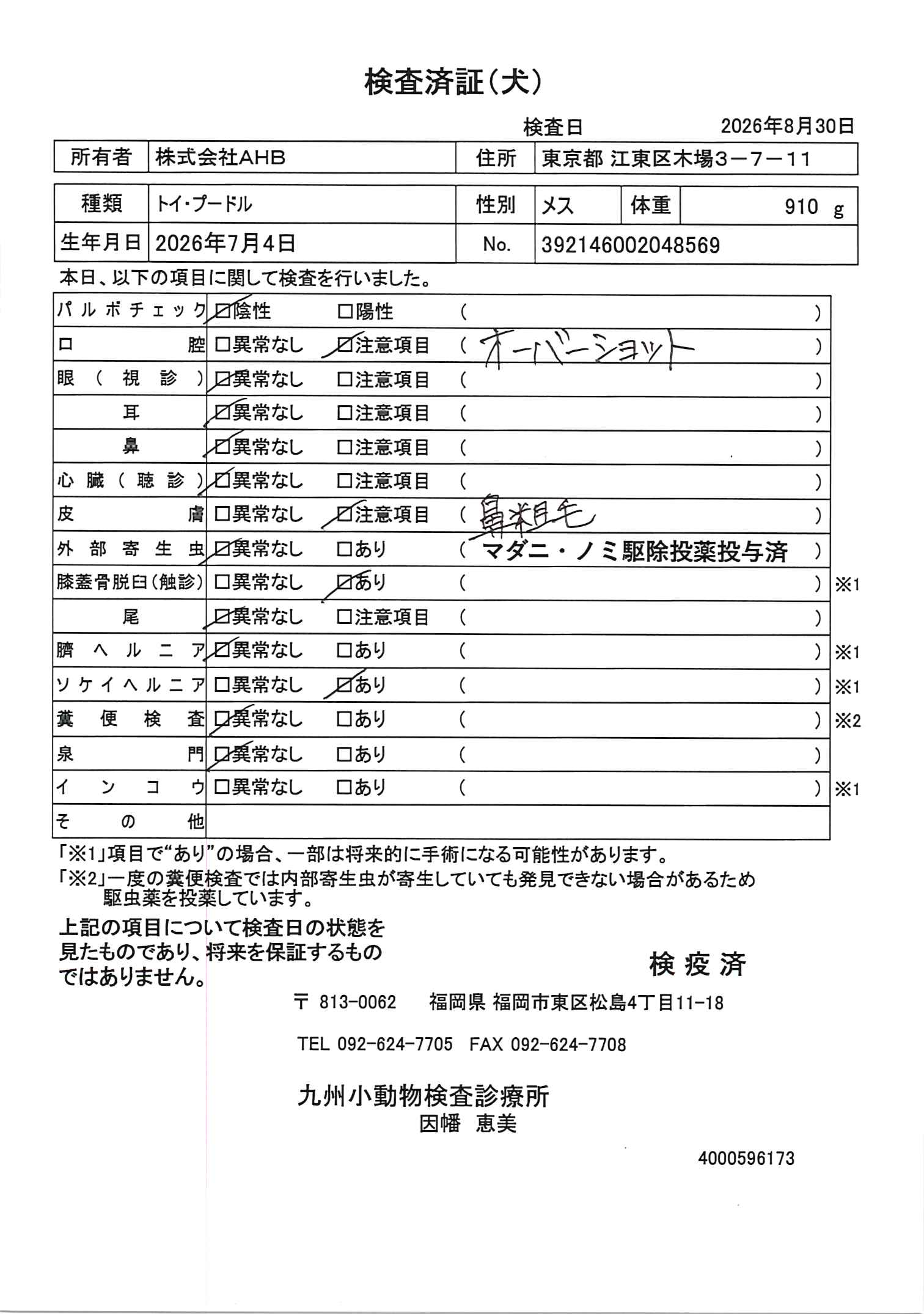 トイ・プードル