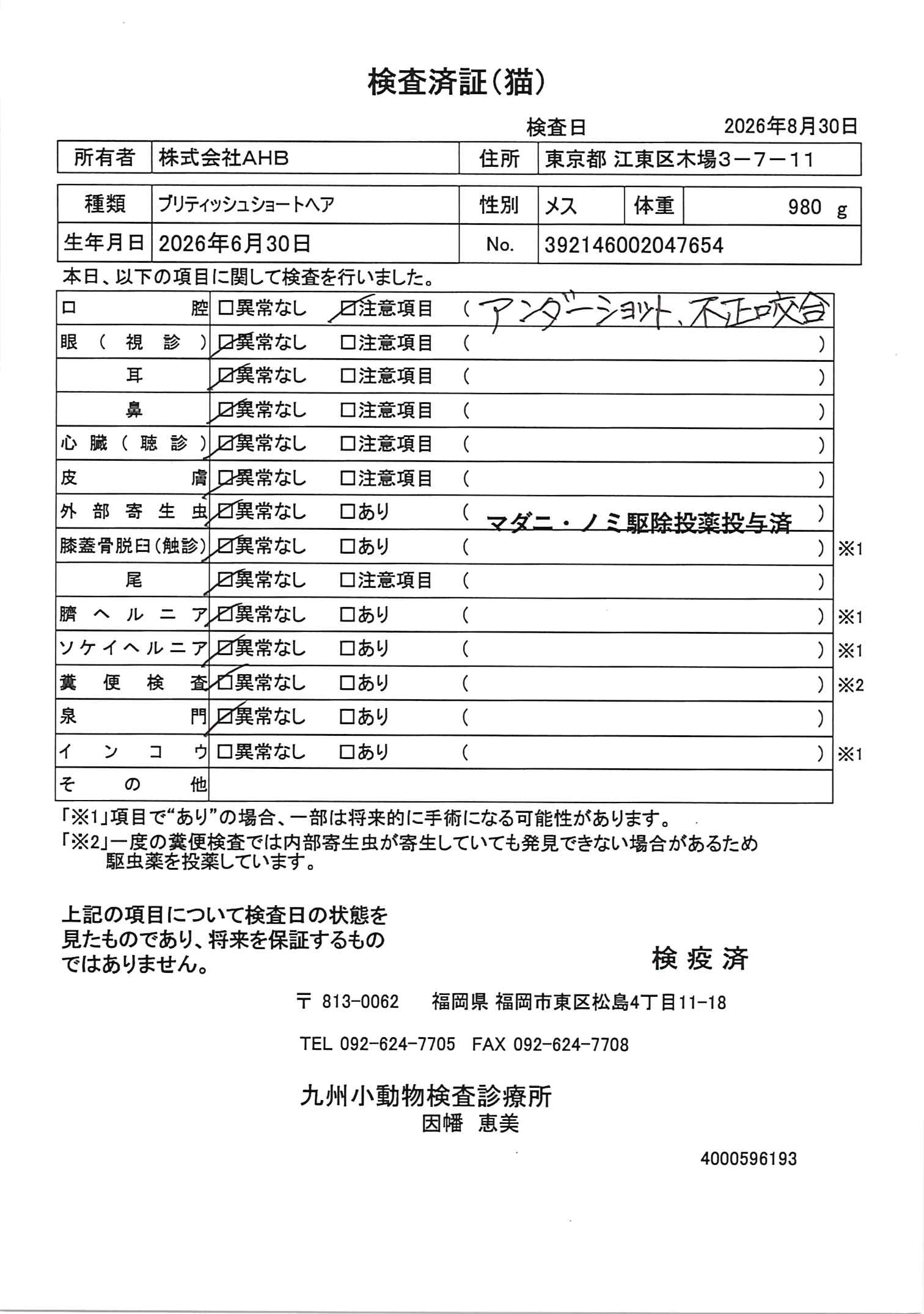 ブリティッシュショートヘア