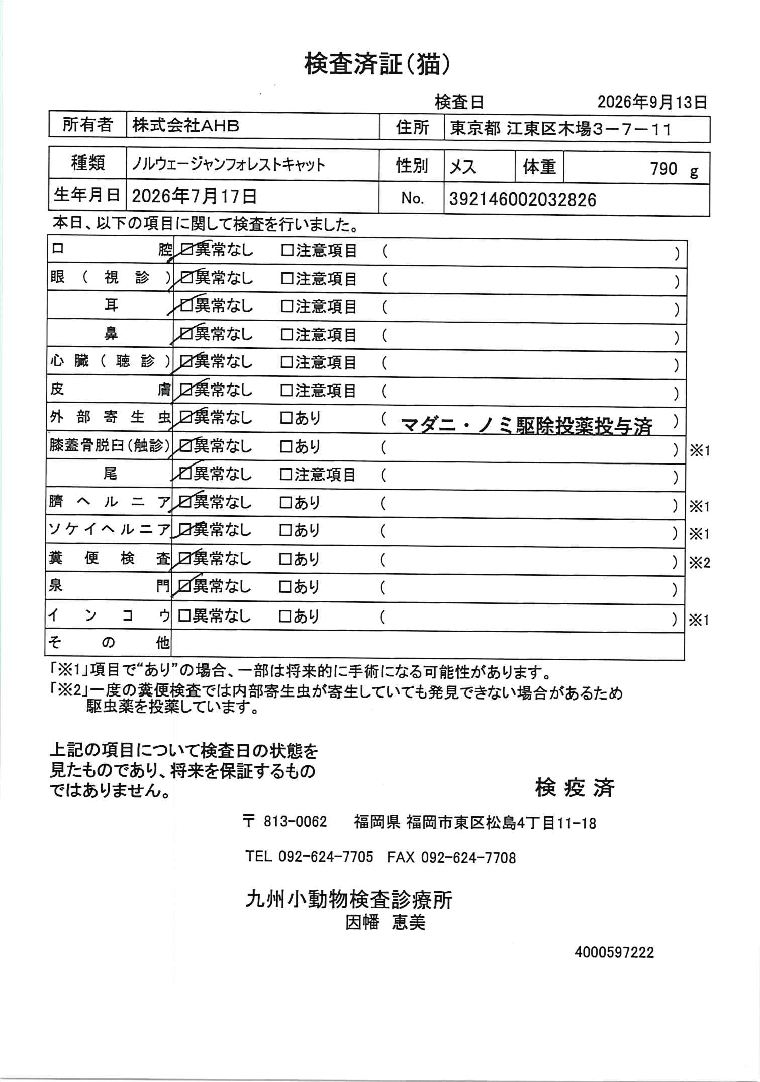 ノルウェージャンフォレストキャット