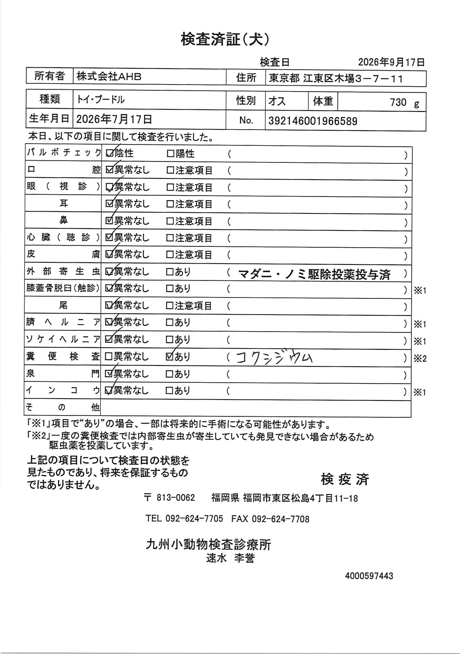 トイ・プードル