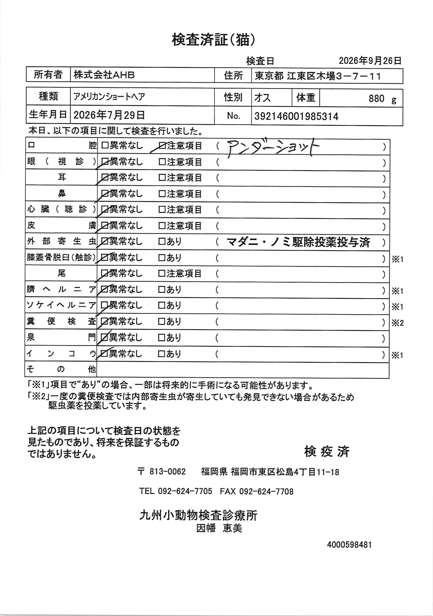 アメリカンショートヘア