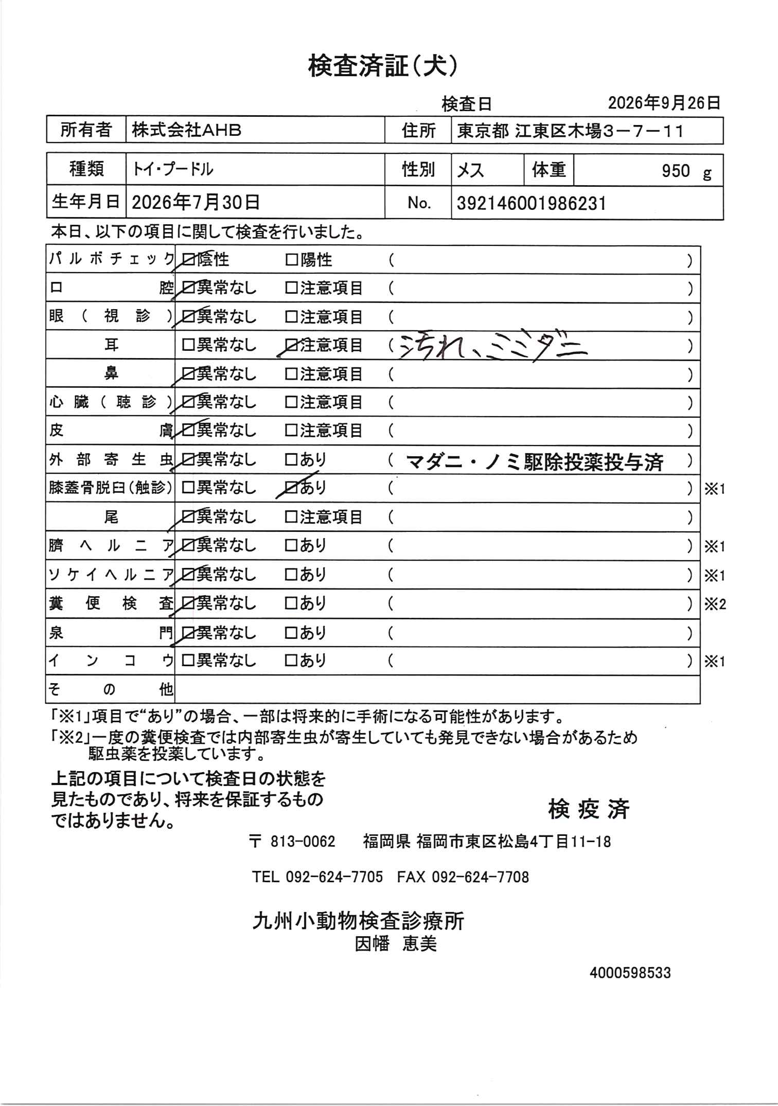 トイ・プードル