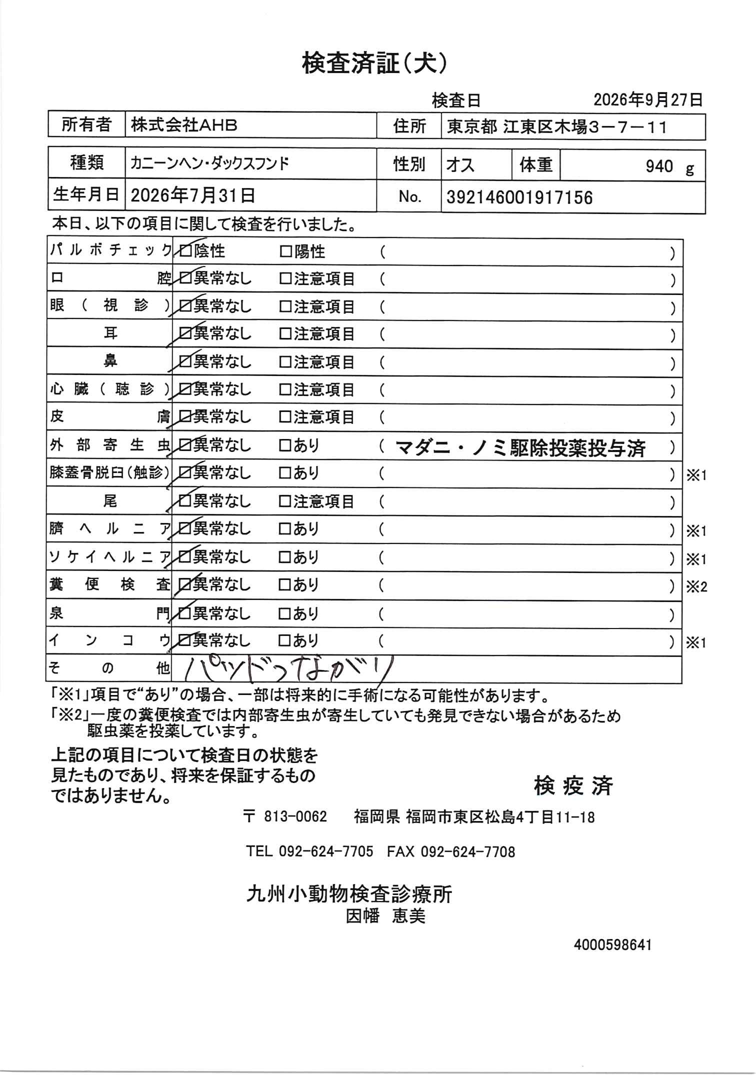 カニーンヘン・ダックスフンド