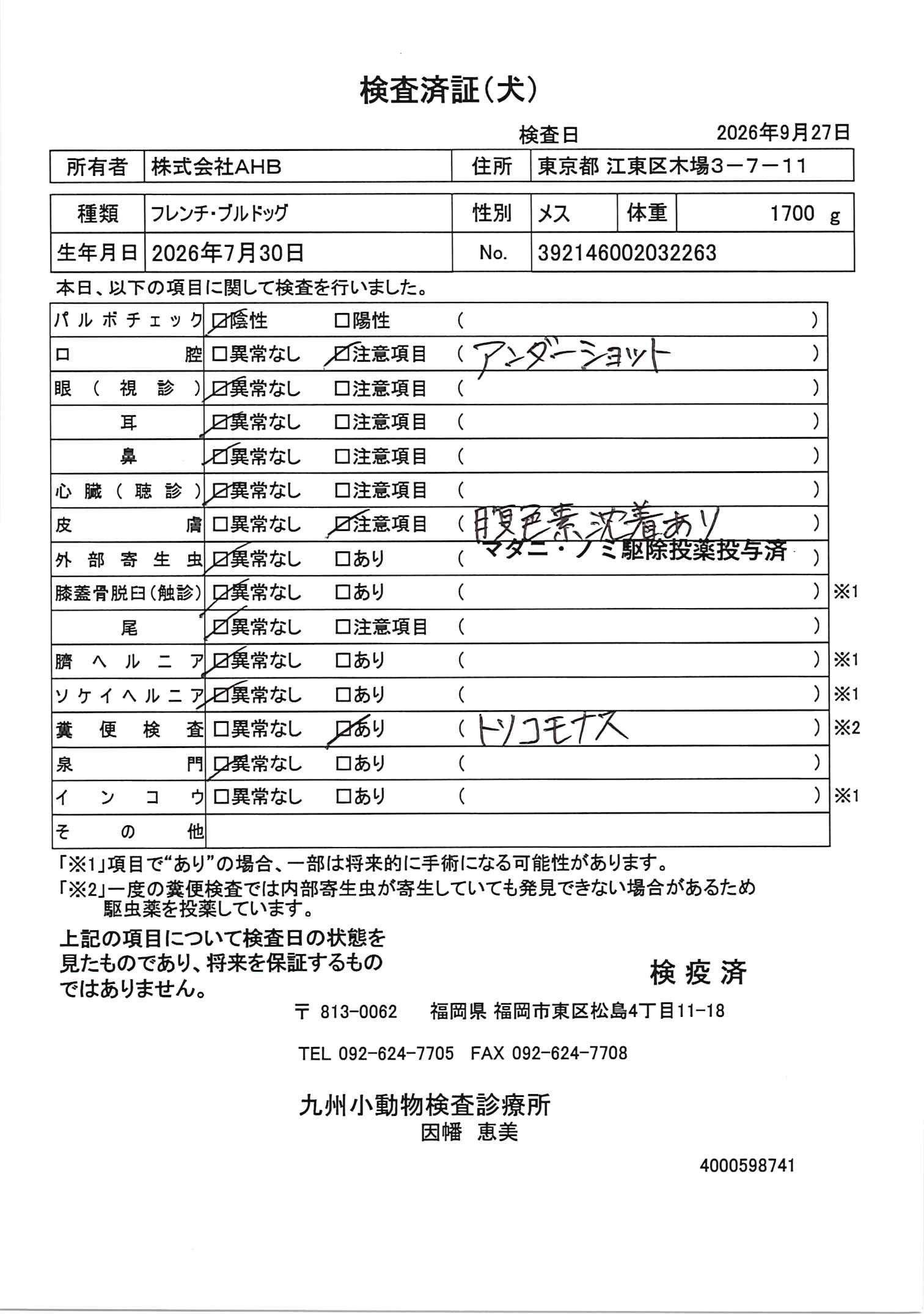 フレンチ・ブルドッグ