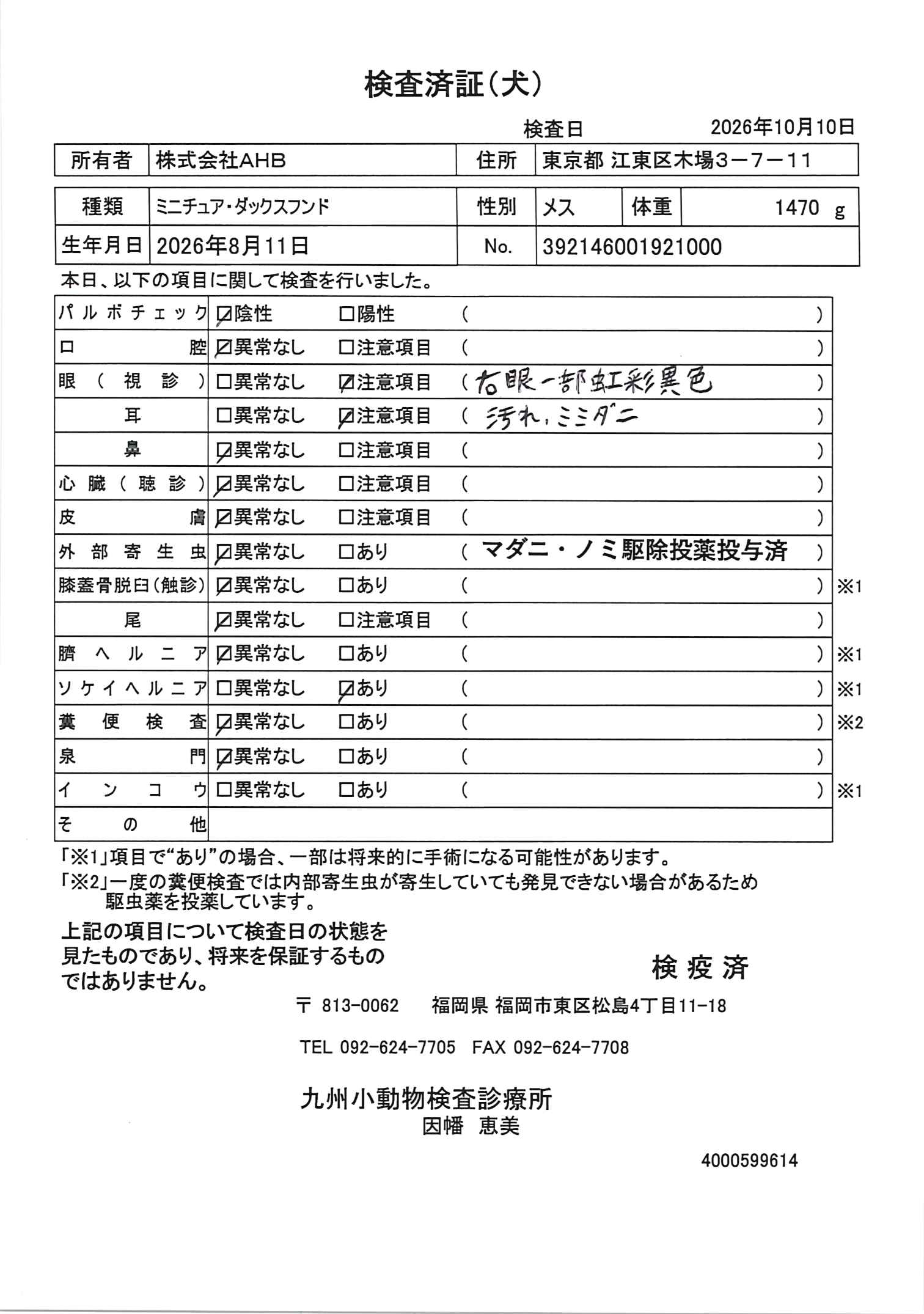 ミニチュア・ダックスフンド