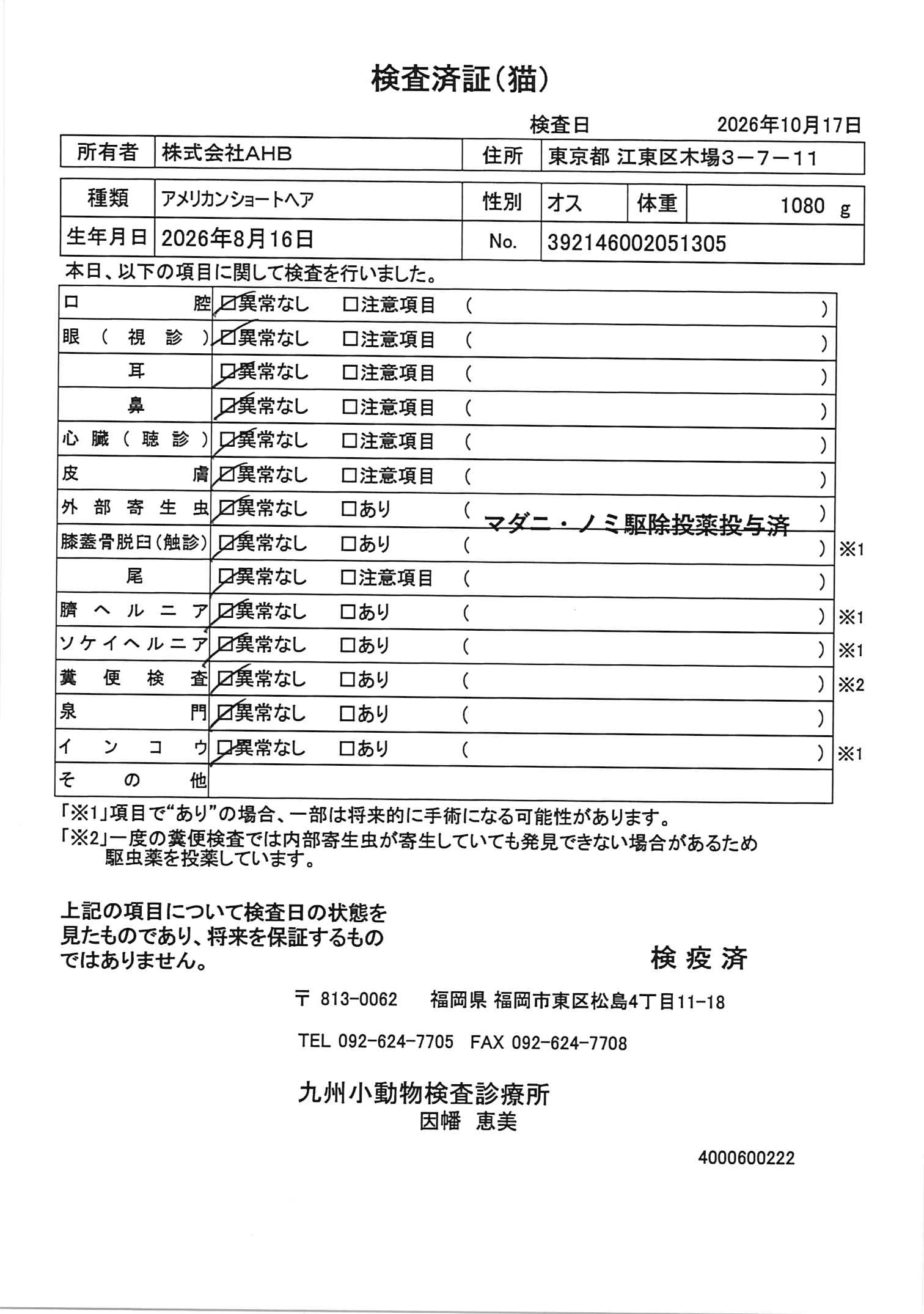 アメリカンショートヘア