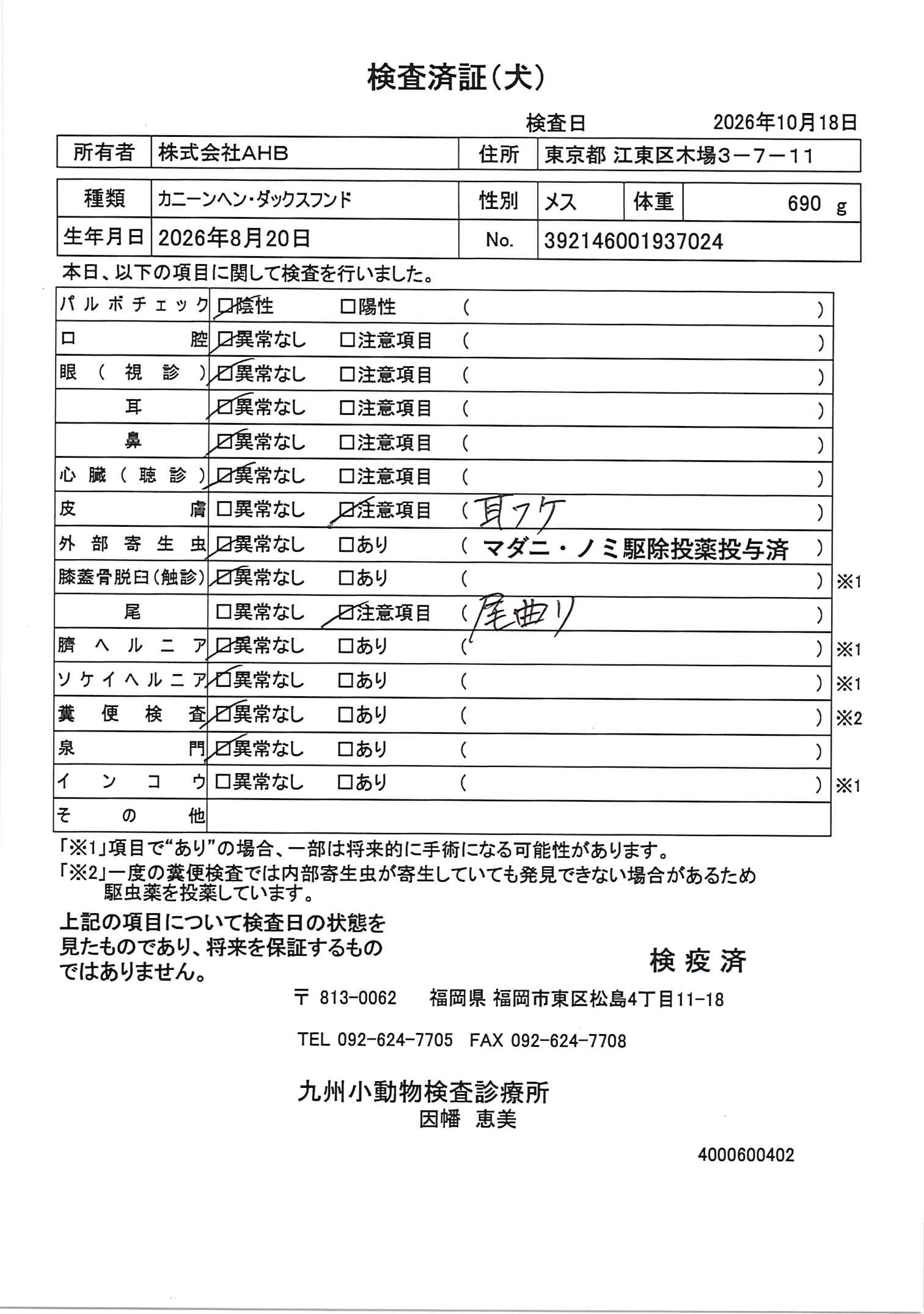 カニーンヘン・ダックスフンド
