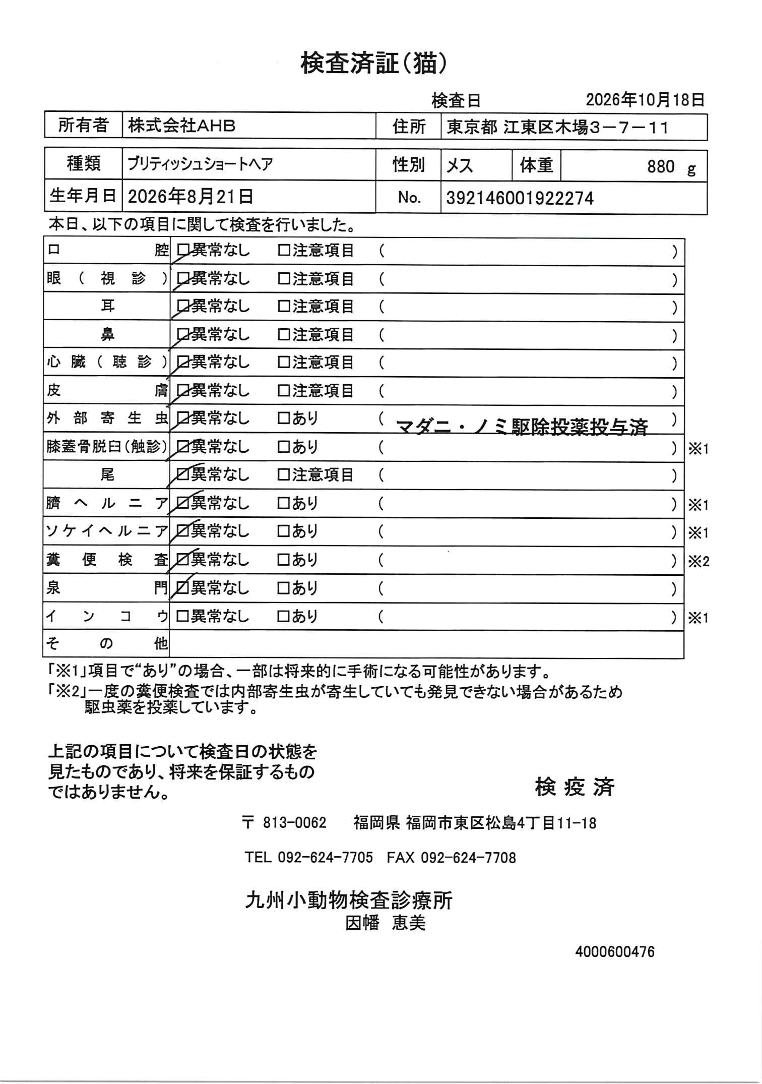 ブリティッシュショートヘア