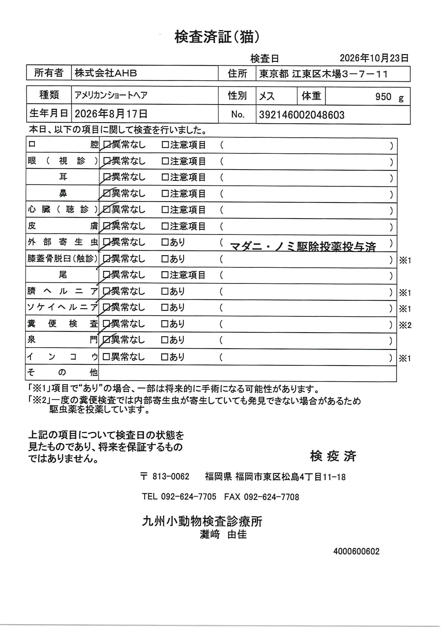 アメリカンショートヘア