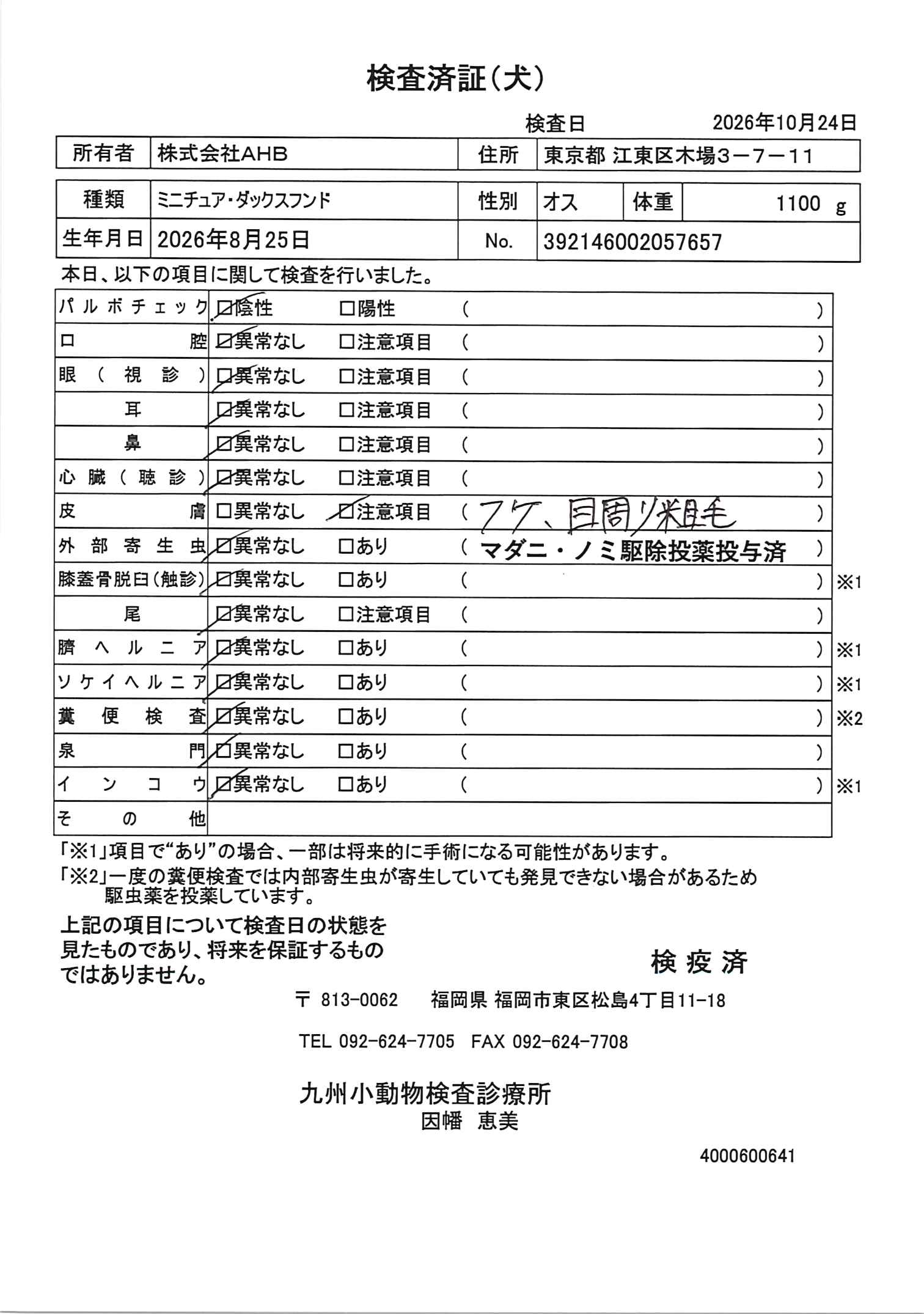 ミニチュア・ダックスフンド