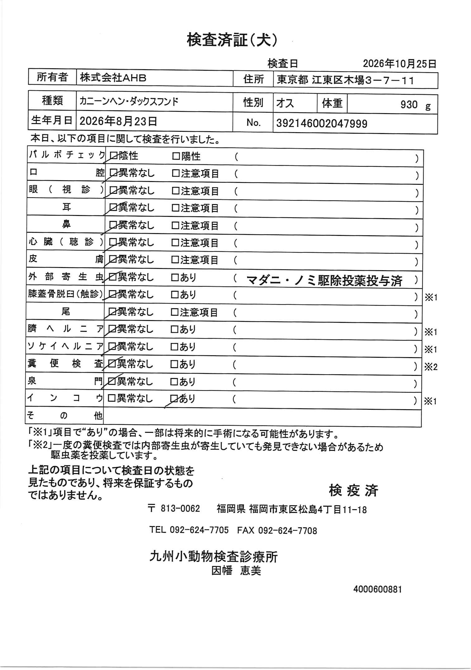 カニーンヘン・ダックスフンド