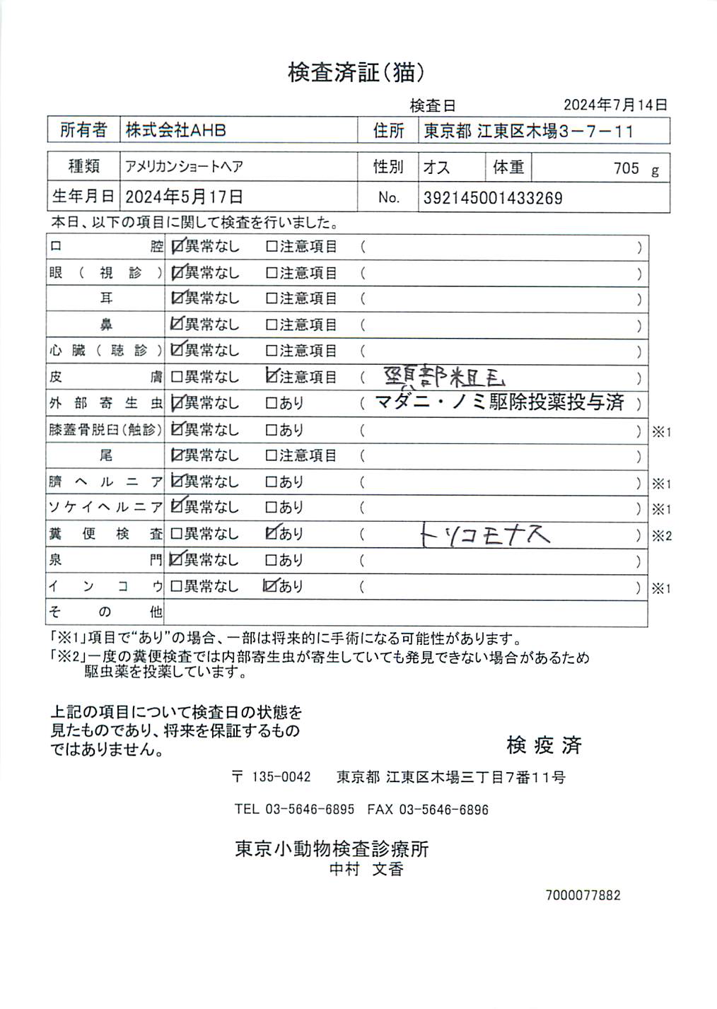 アメリカンショートヘア