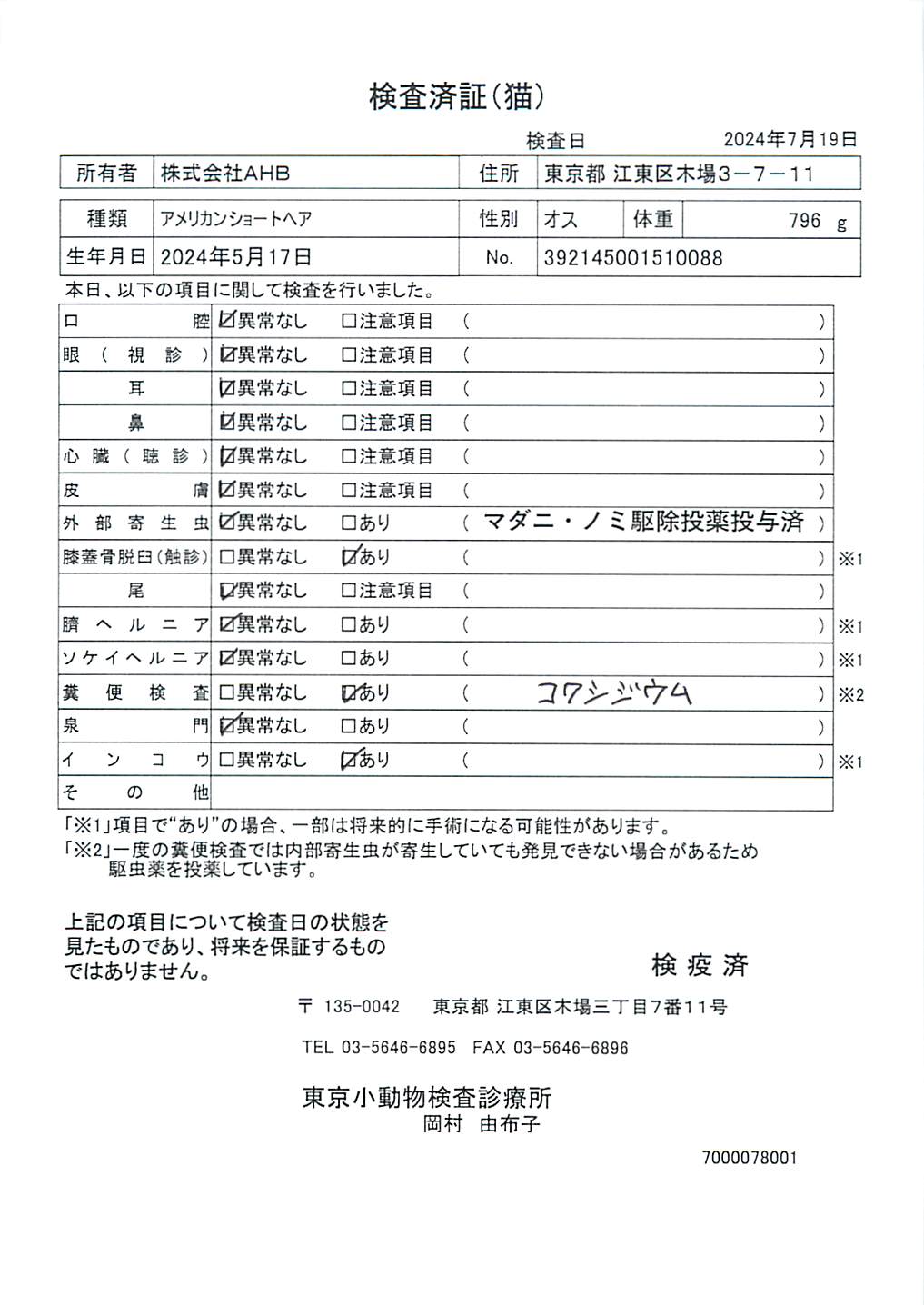 アメリカンショートヘア