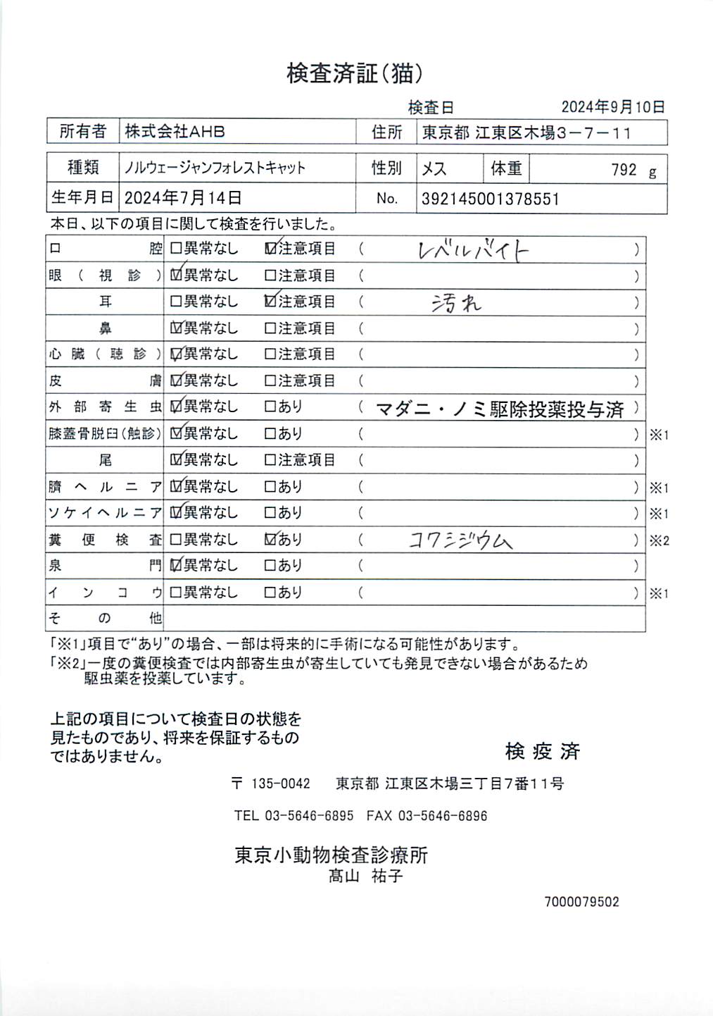 ノルウェージャンフォレストキャット