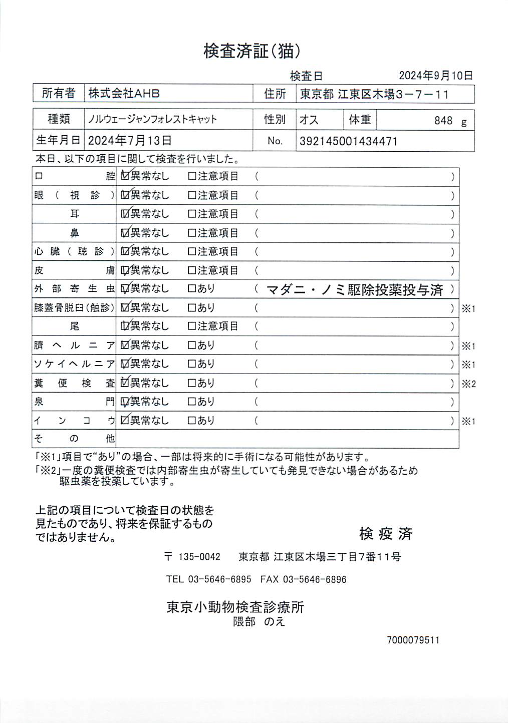 ノルウェージャンフォレストキャット