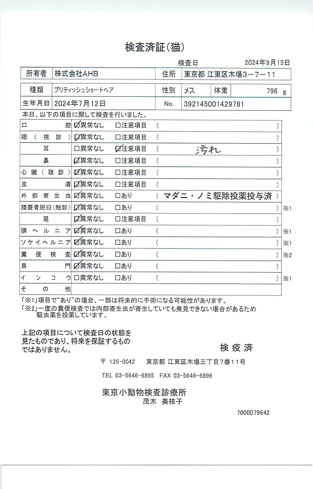 ブリティッシュショートヘア