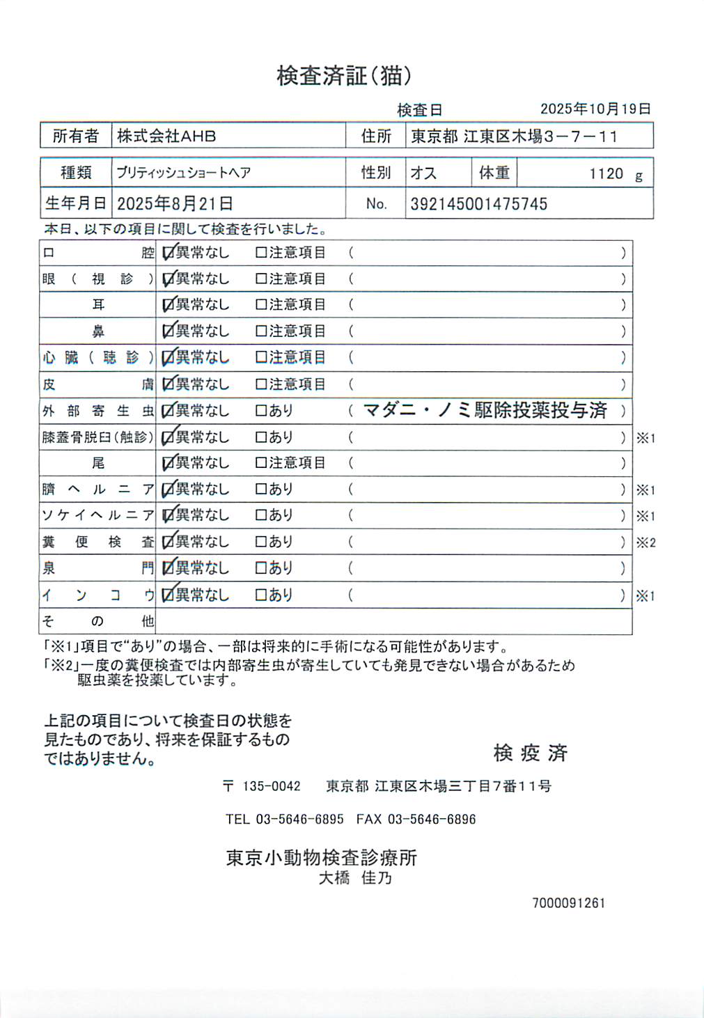 ブリティッシュショートヘア