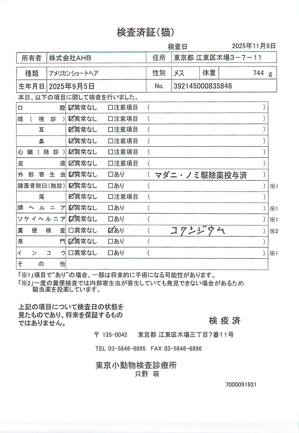アメリカンショートヘア