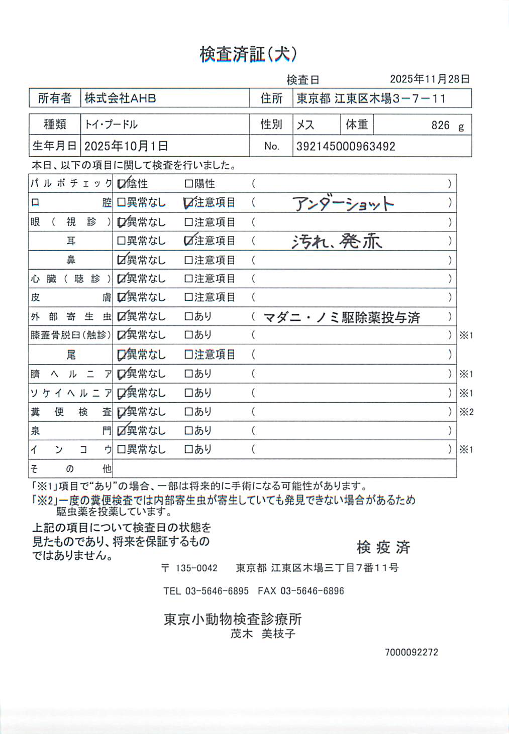 トイ・プードル