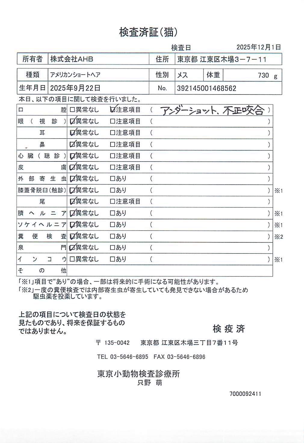 アメリカンショートヘア
