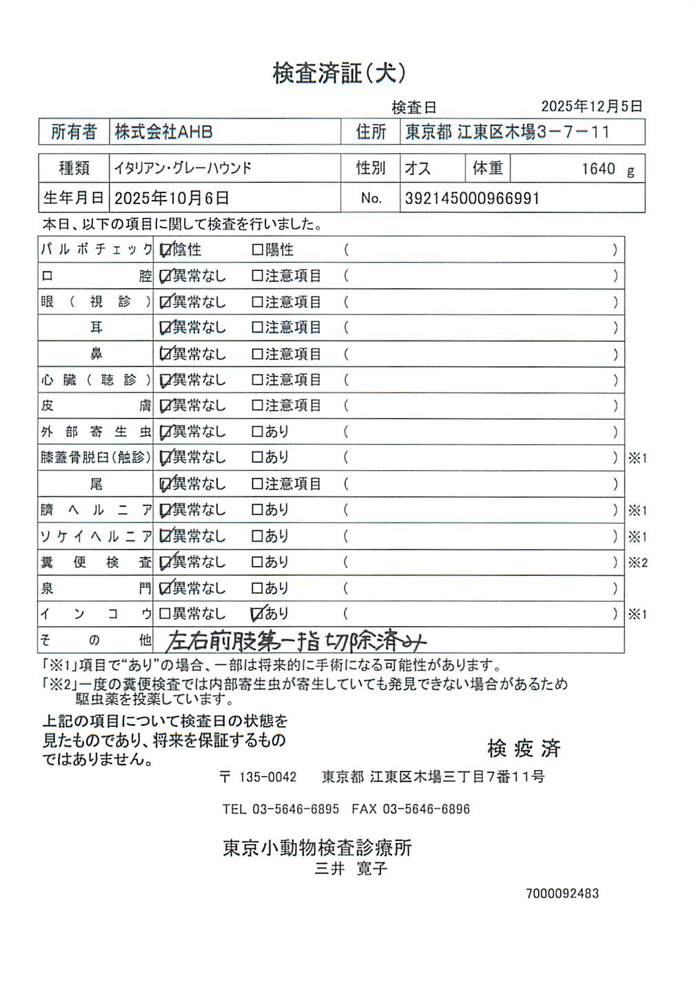 イタリアン・グレーハウンド