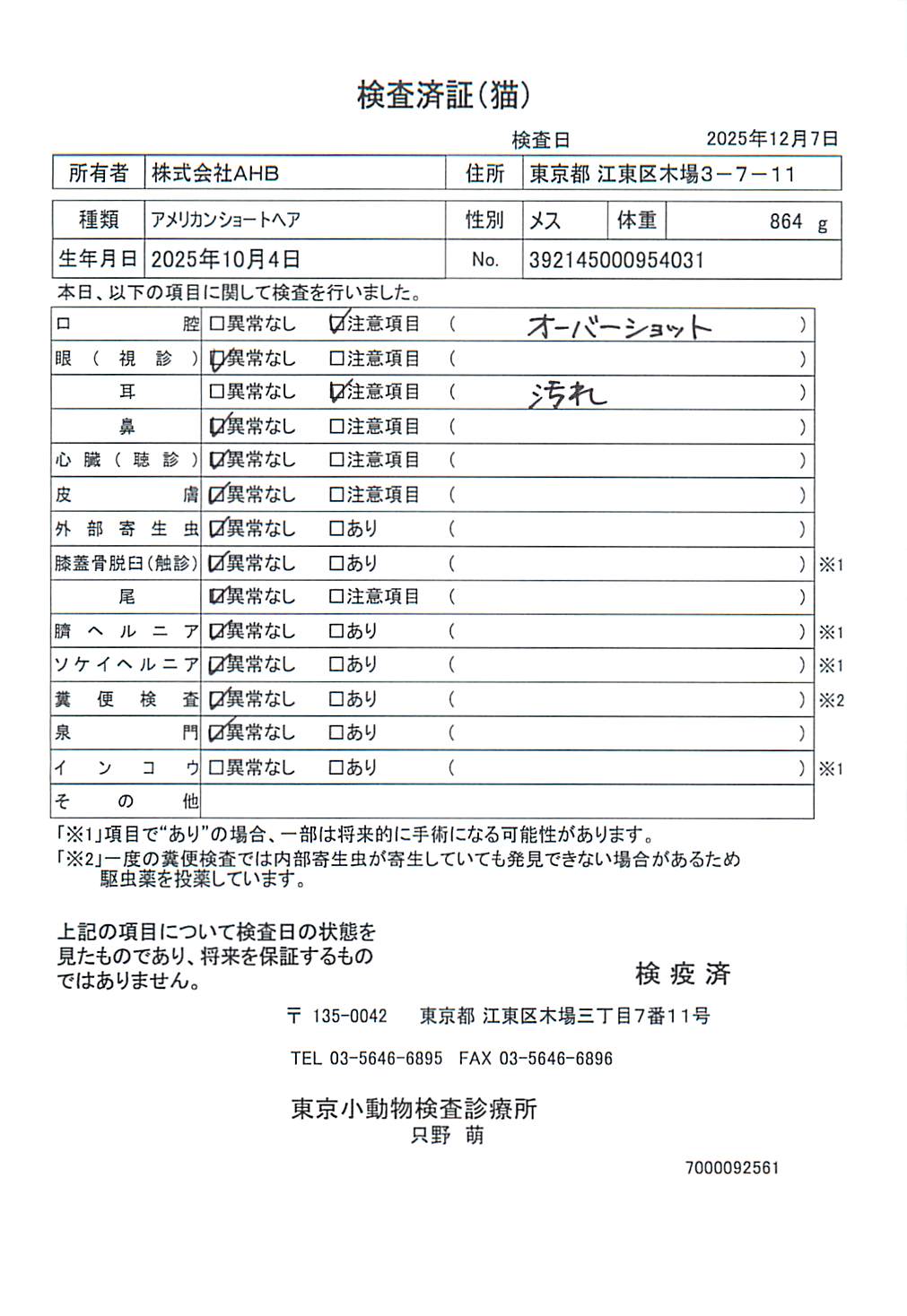 アメリカンショートヘア