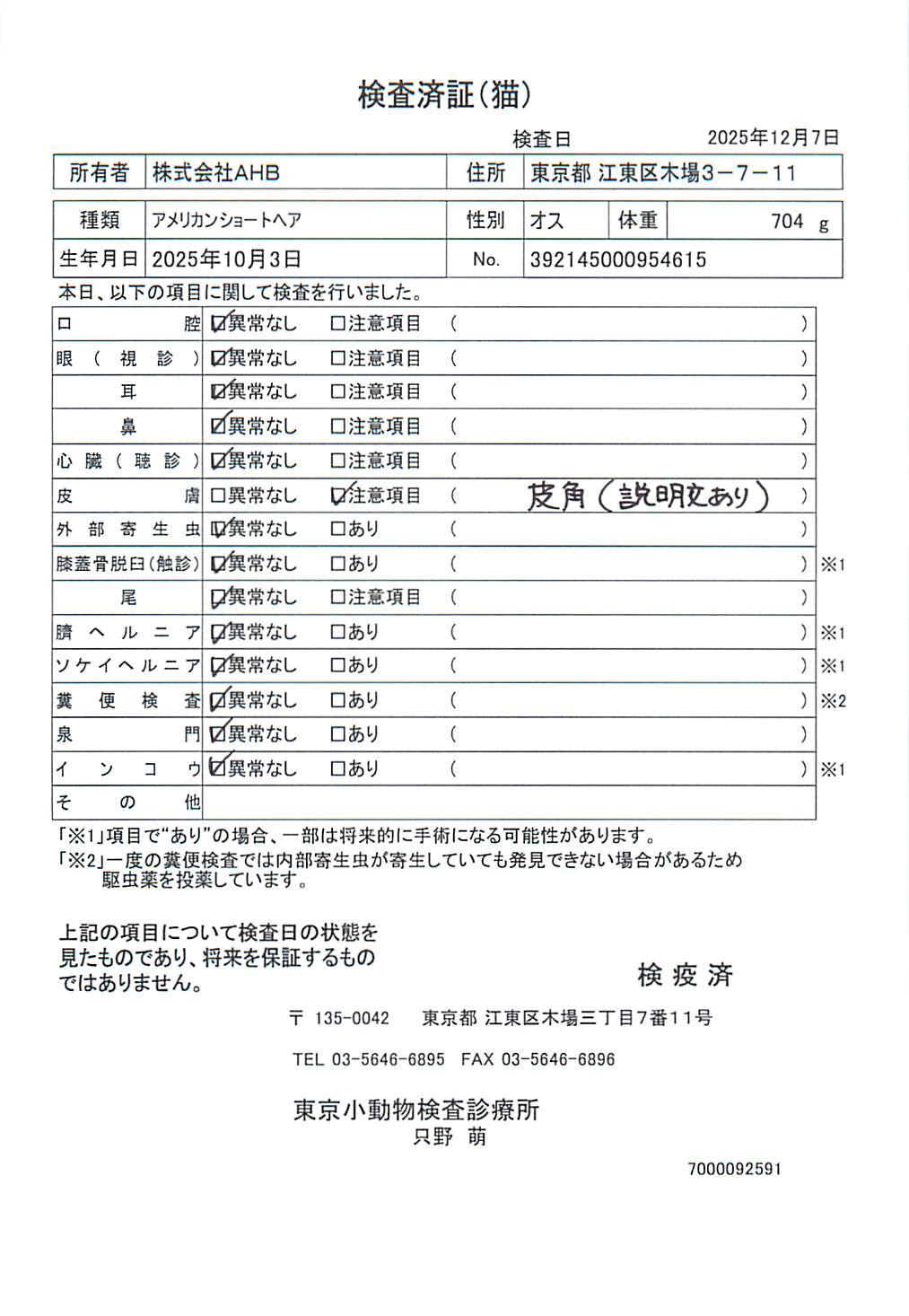アメリカンショートヘア