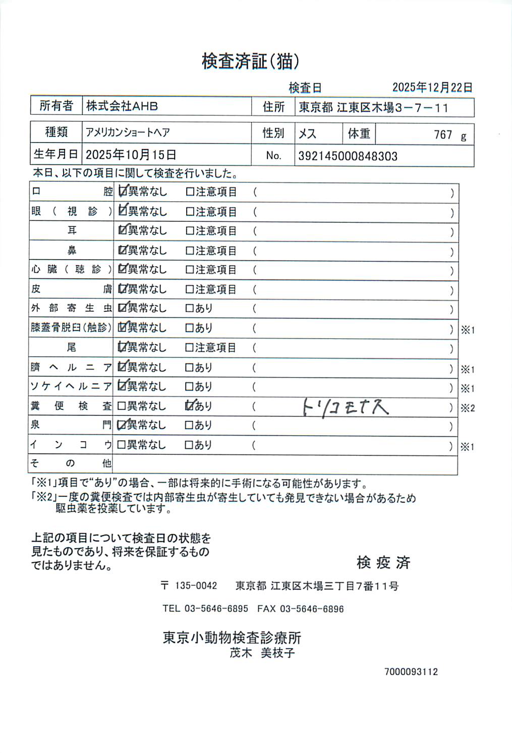 アメリカンショートヘア