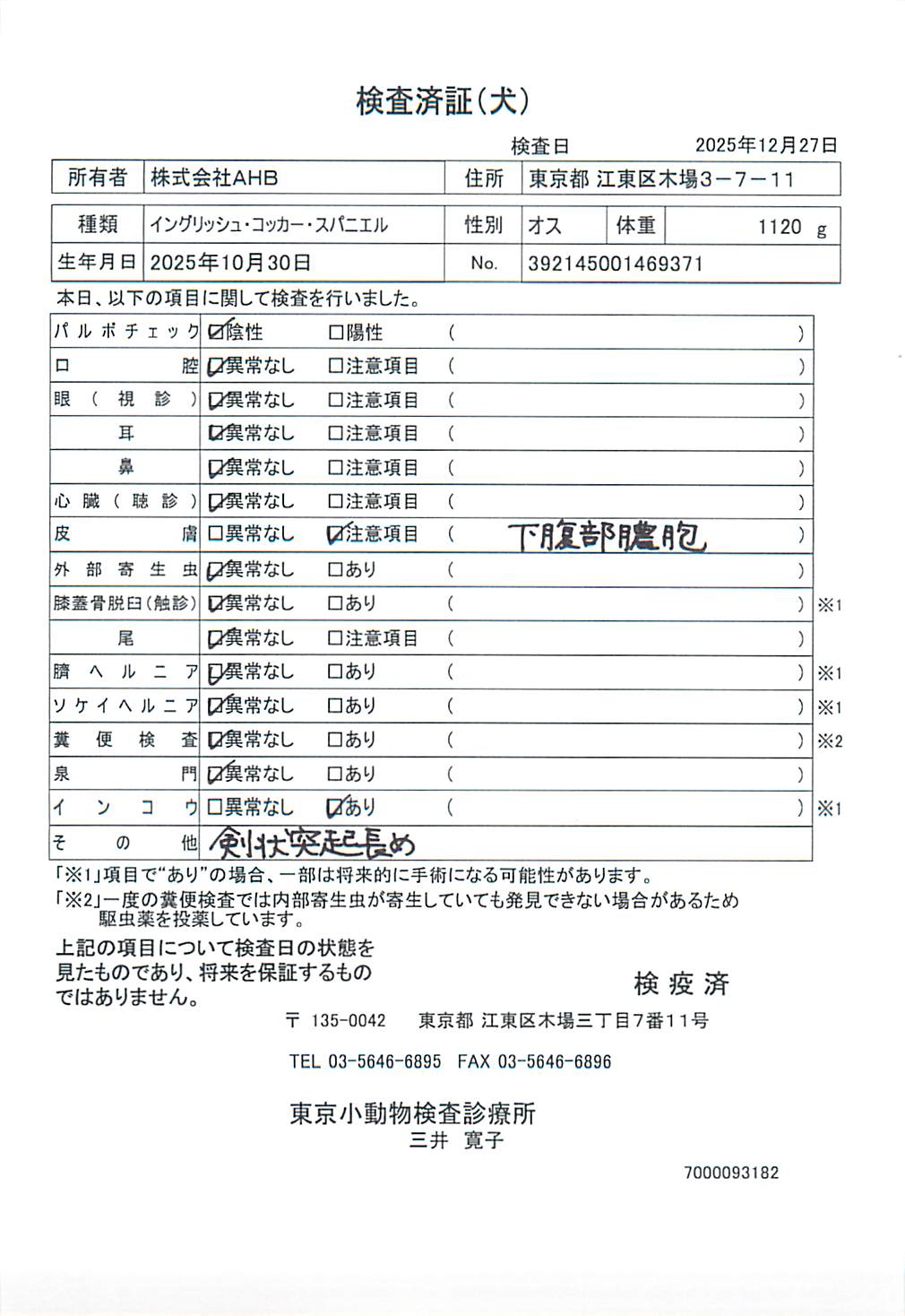 イングリッシュ・コッカー・スパニエル