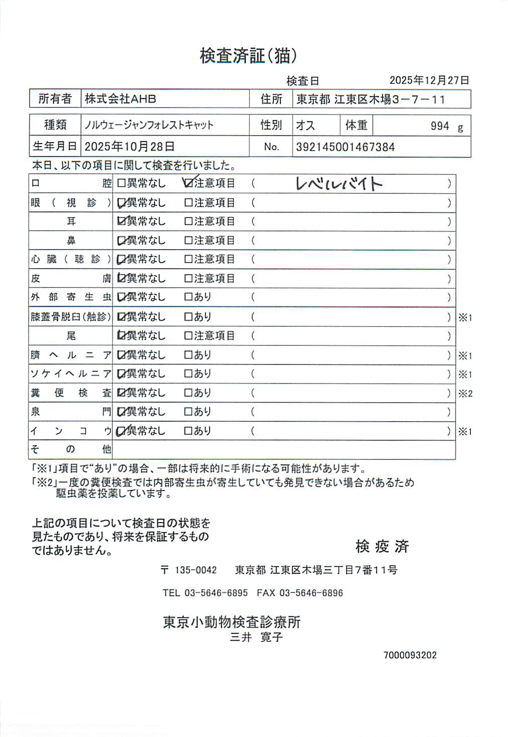 ノルウェージャンフォレストキャット