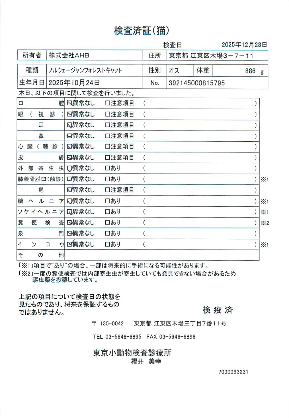 ノルウェージャンフォレストキャット