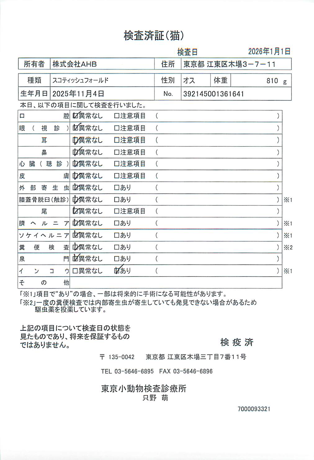 スコティッシュフォールド