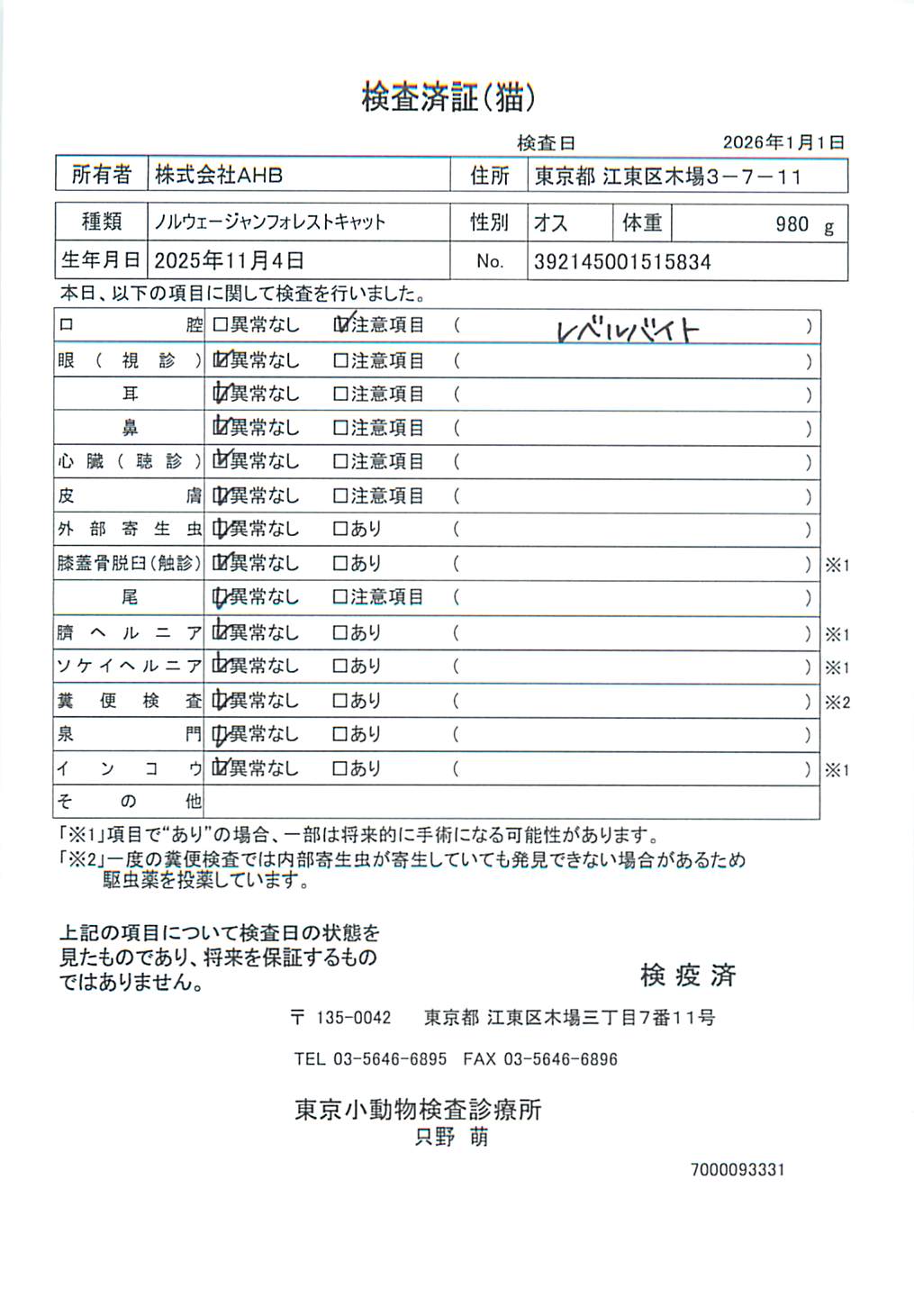 ノルウェージャンフォレストキャット