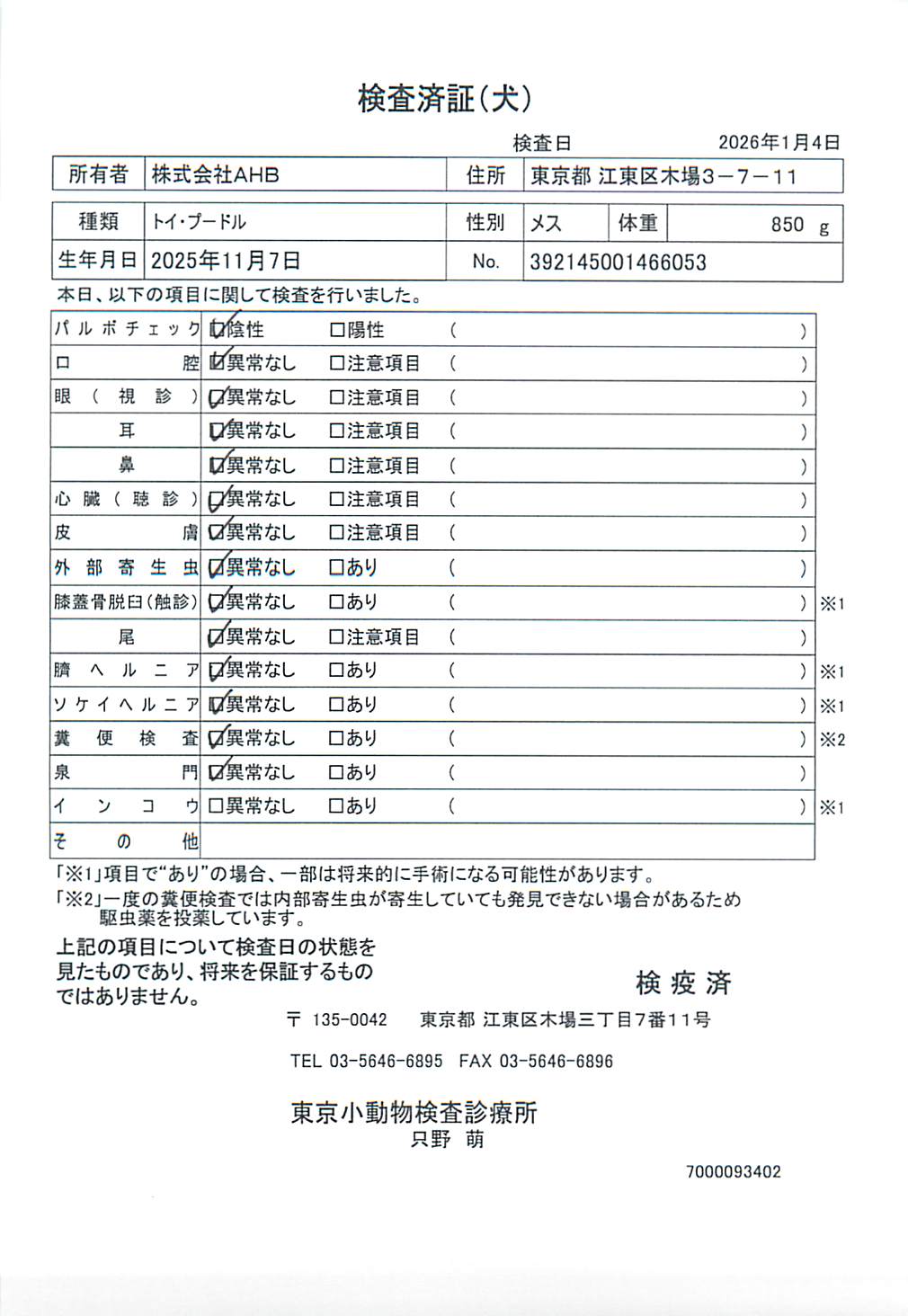 トイ・プードル