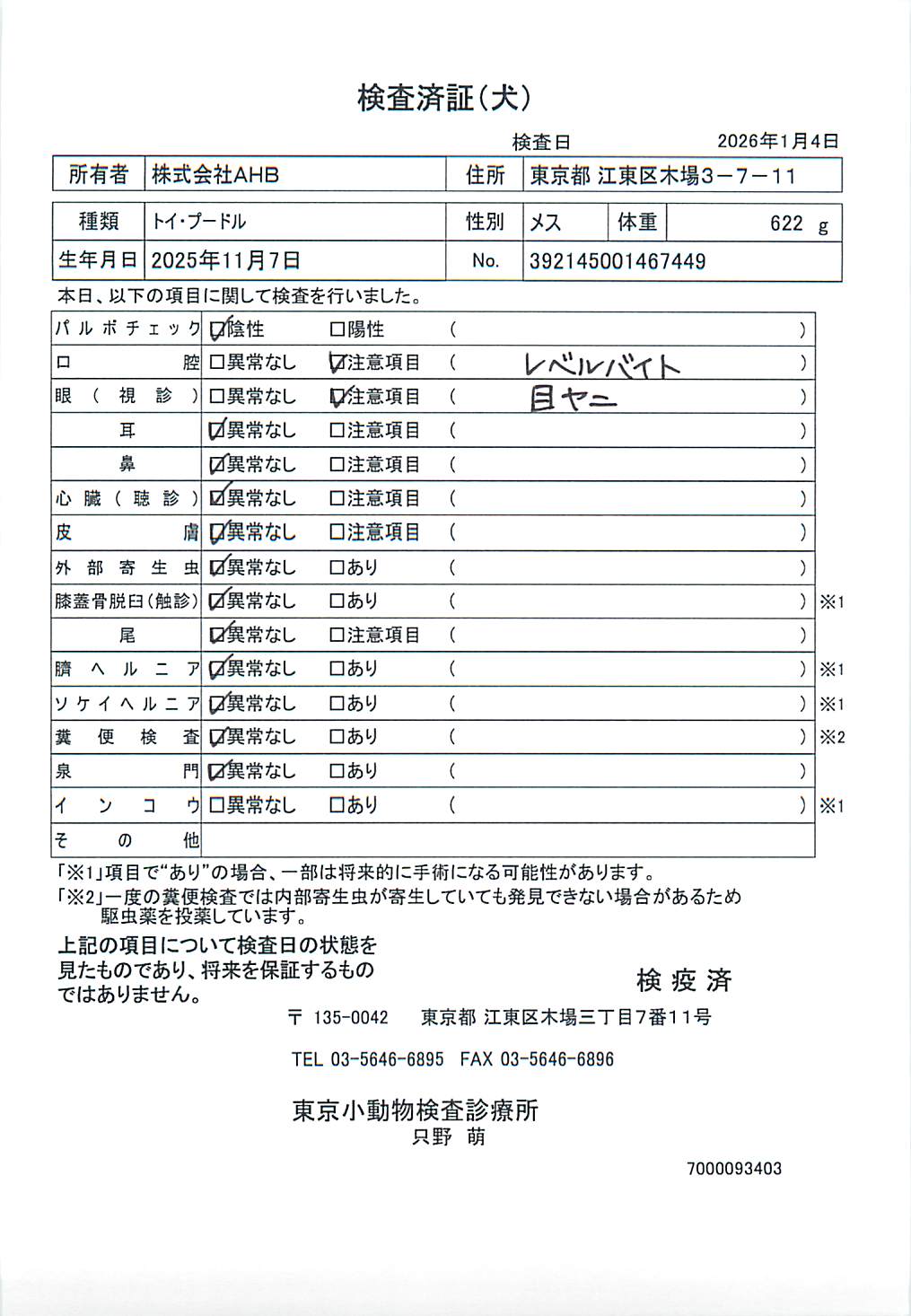 トイ・プードル