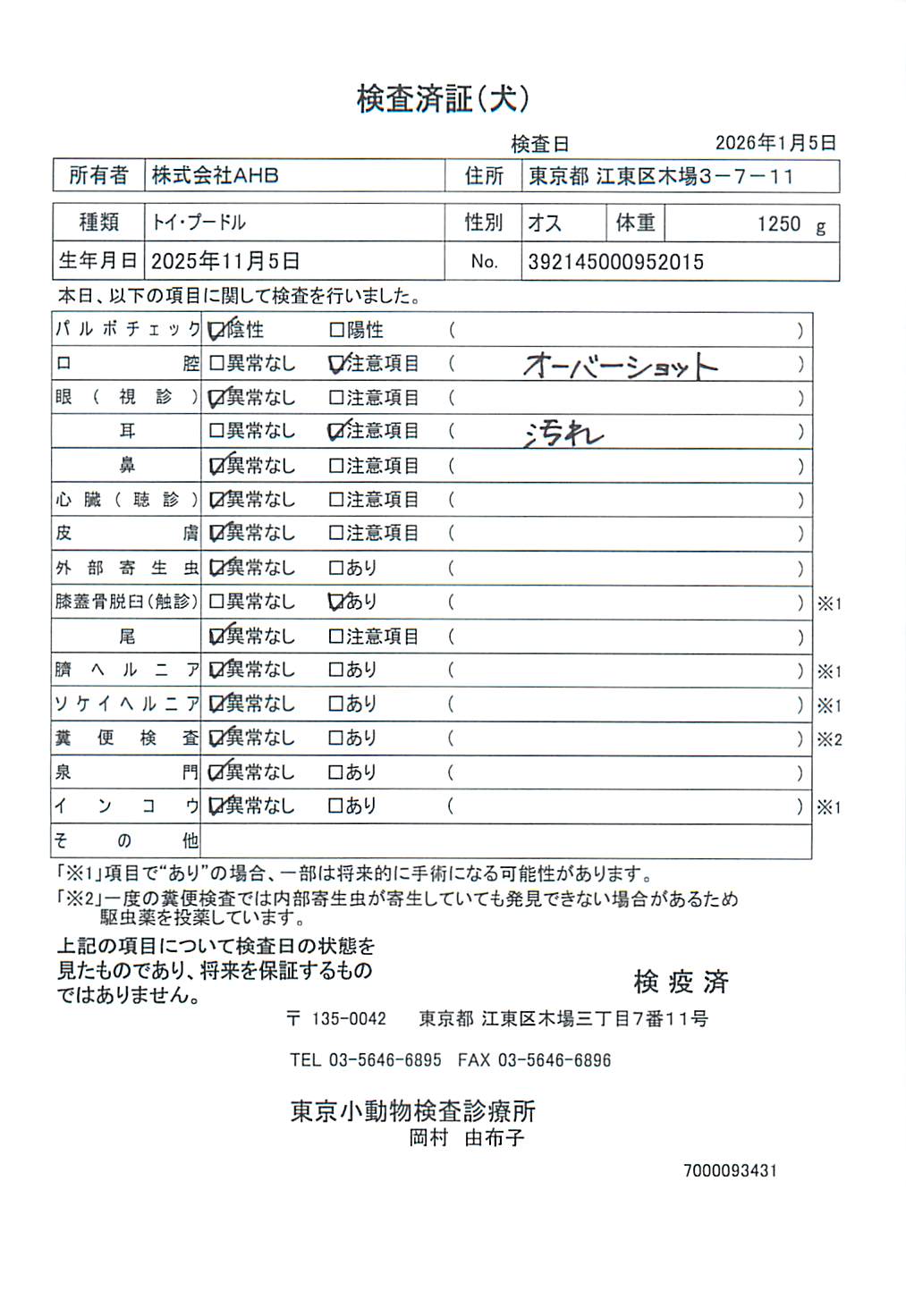 トイ・プードル