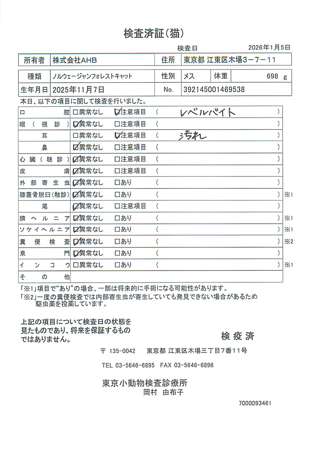 ノルウェージャンフォレストキャット