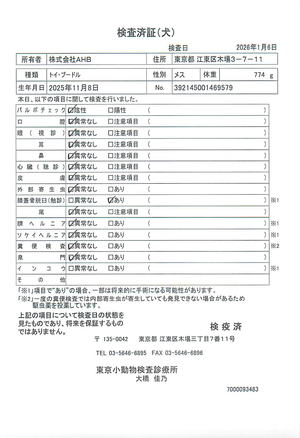 トイ・プードル
