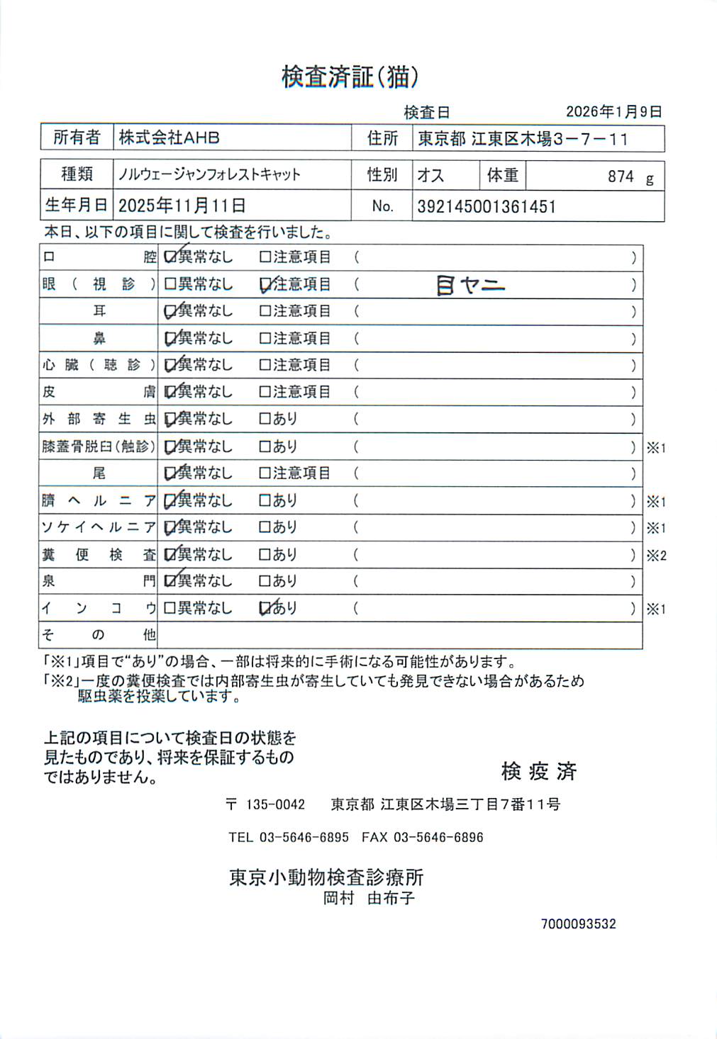 ノルウェージャンフォレストキャット