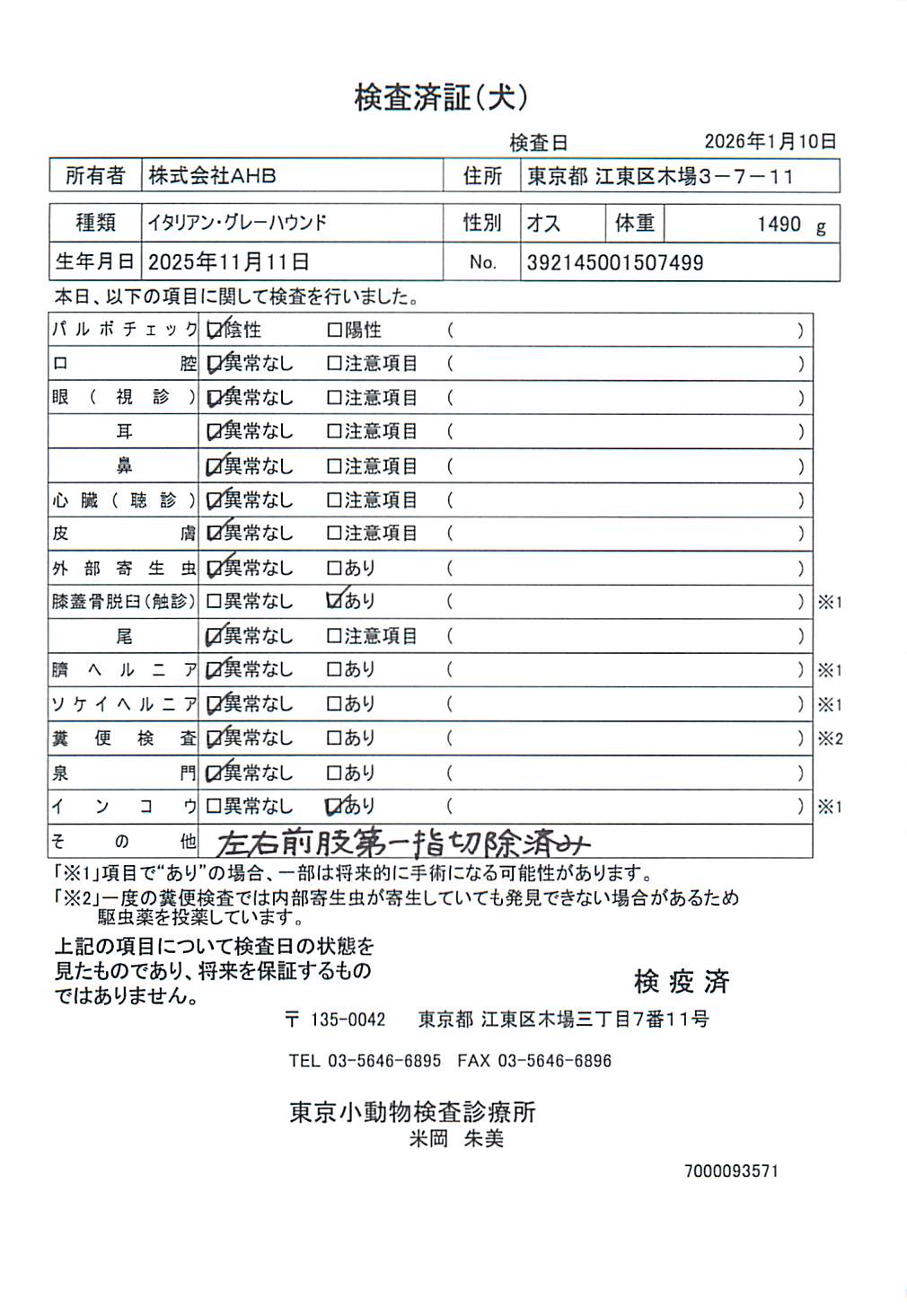 イタリアン・グレーハウンド